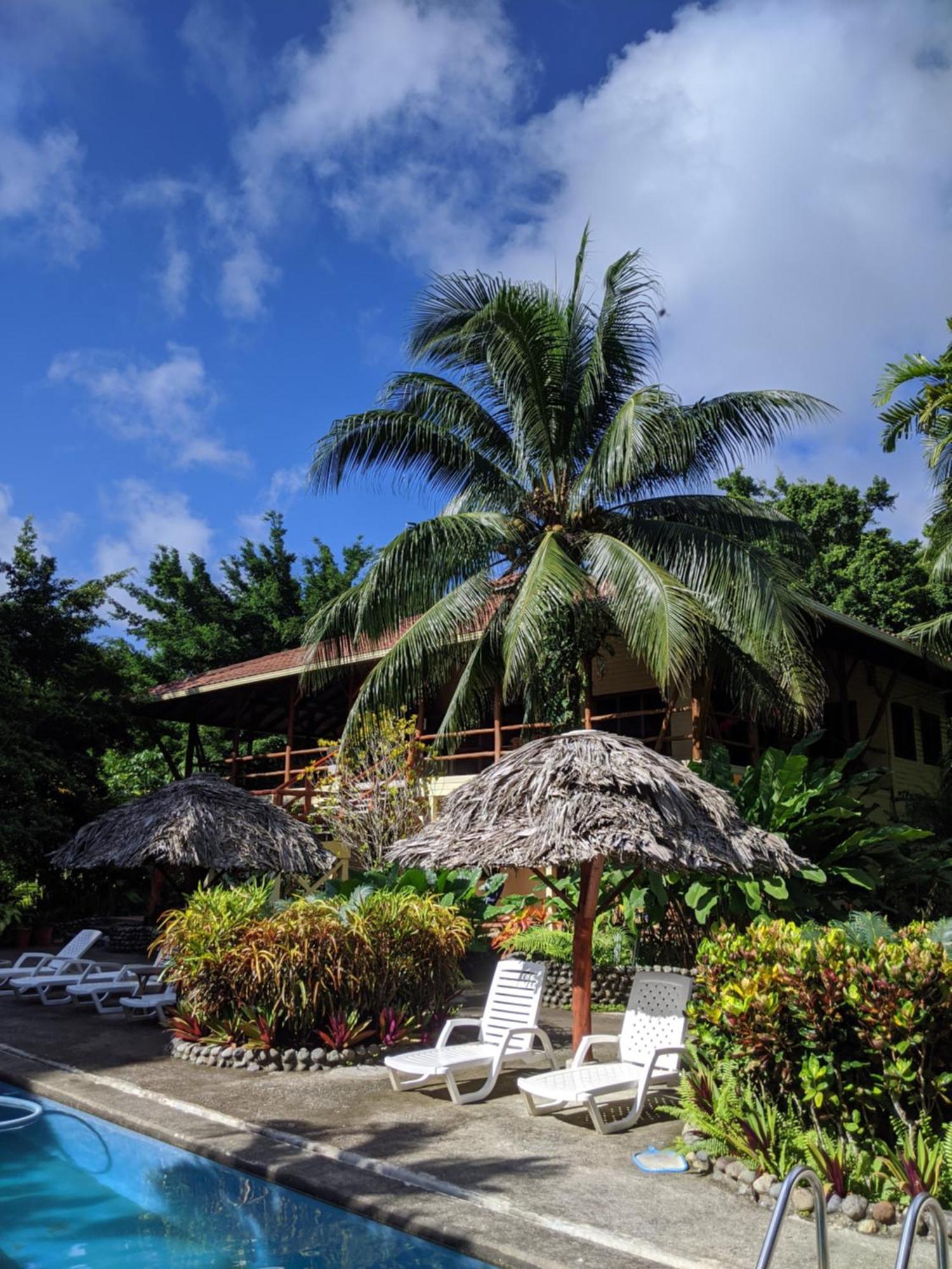 Bluff Beach Retreat Бокас-дель-Торо Экстерьер фото