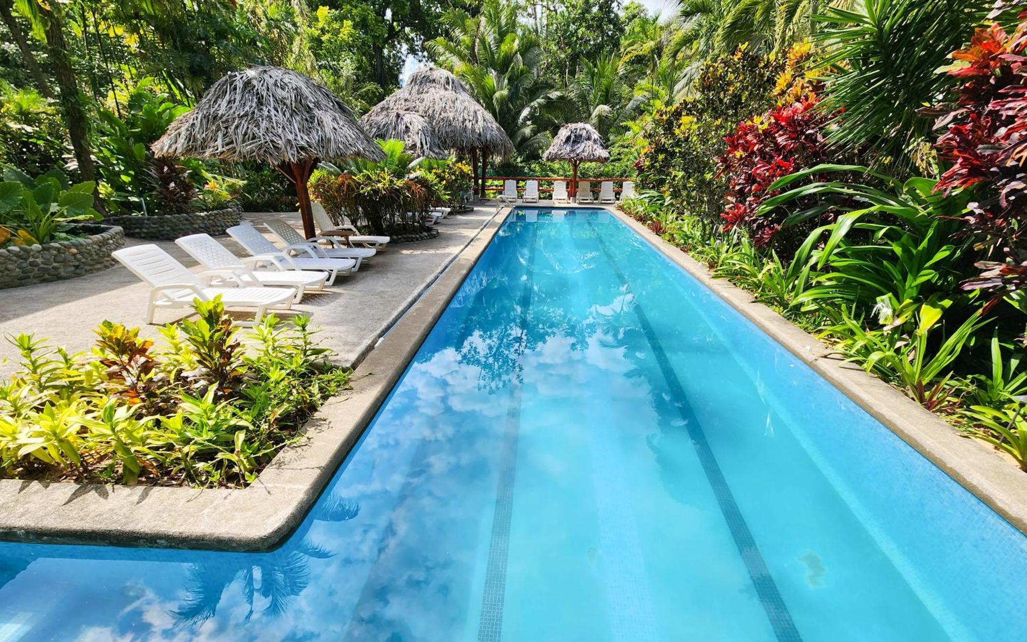 Bluff Beach Retreat Бокас-дель-Торо Экстерьер фото